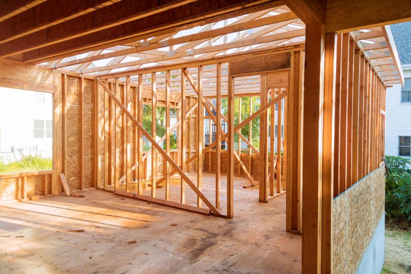 Renovation Framing in Conroe, TX