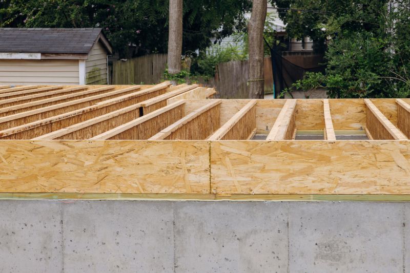 Damaged Joist Inspection
